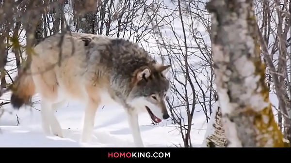 Andre Donovan and Michael Boston fuck each other in a cabin.